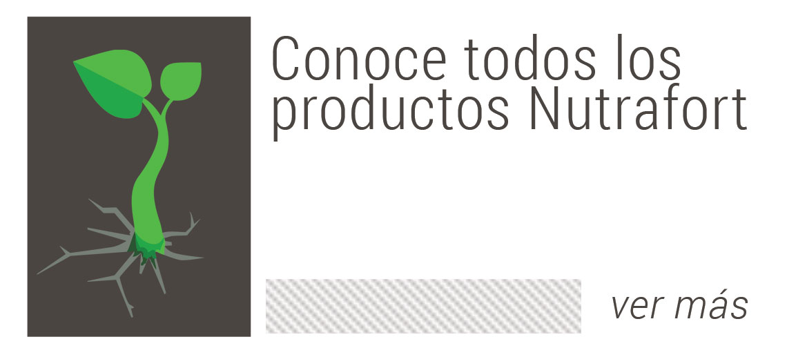 Productos